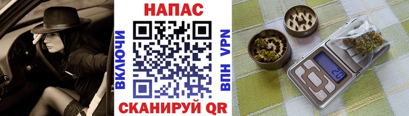 сколько стоит  Козельск  Бошки Шишки ГИДРОПОН 